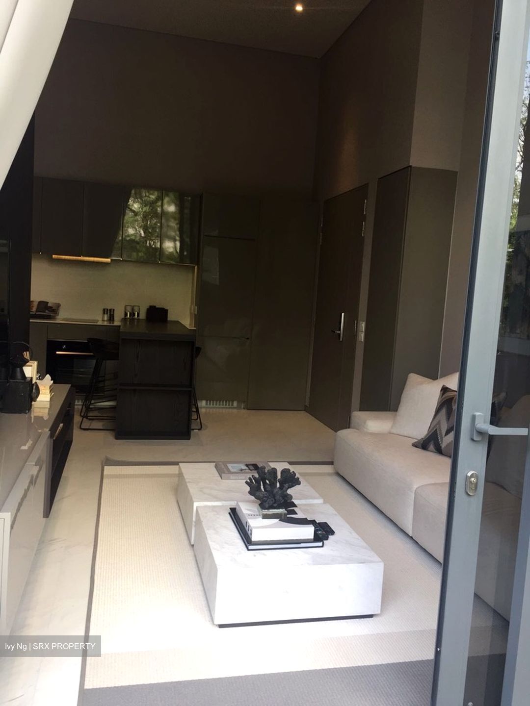 Robin Residences (D10), Condominium #605463441